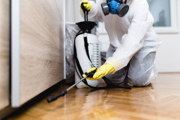 Best Residential Pest Control  in Warminster Heights, PA