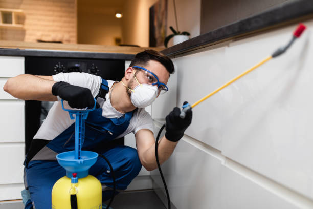 Best Wildlife Control Services  in Warminster Heights, PA