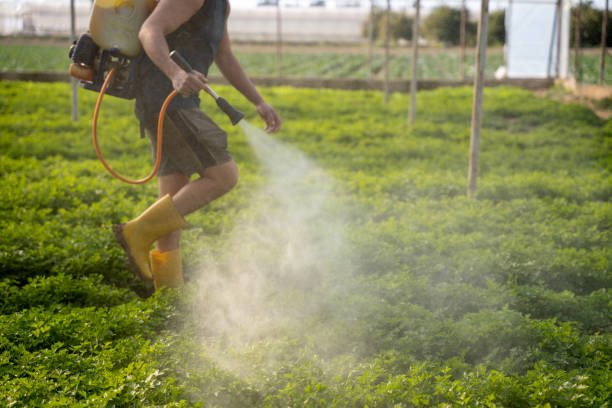 Best Best Pest Control Companies  in Warminster Heights, PA